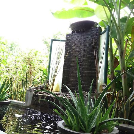 Jassri Homestay Pemuteran Екстериор снимка