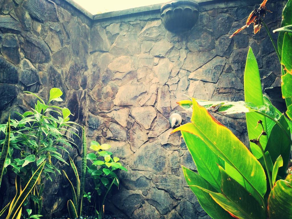 Jassri Homestay Pemuteran Екстериор снимка