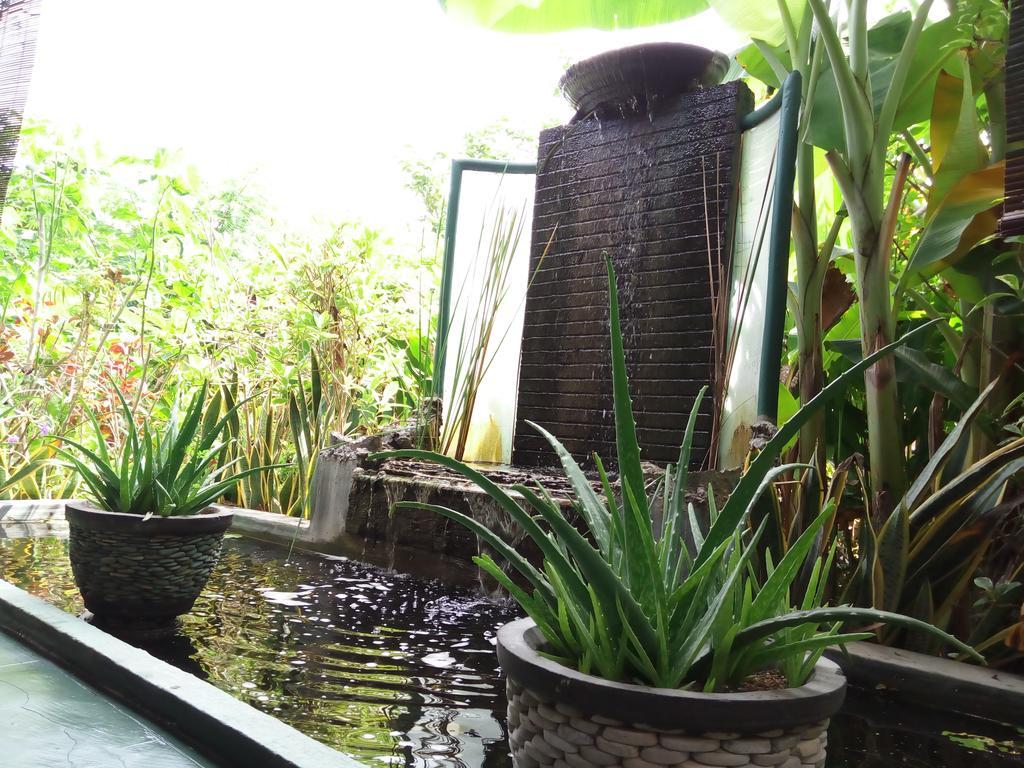 Jassri Homestay Pemuteran Екстериор снимка