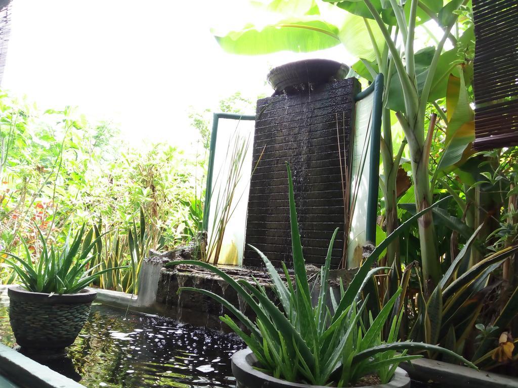 Jassri Homestay Pemuteran Екстериор снимка